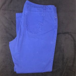 🌸 Beautiful Blue Skinny Jean